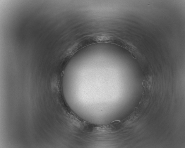 X0000059820763200511041719