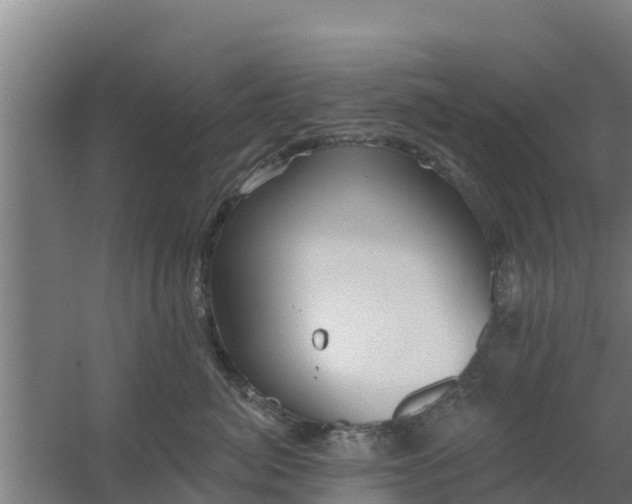 X0000059820764200511041719