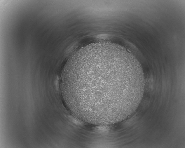 X0000059820765200511041719