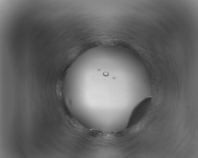 X0000059820768200511041719