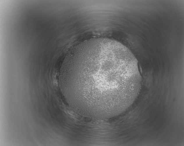 X0000059820770200511041719