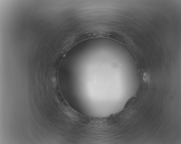 X0000059820771200511041719