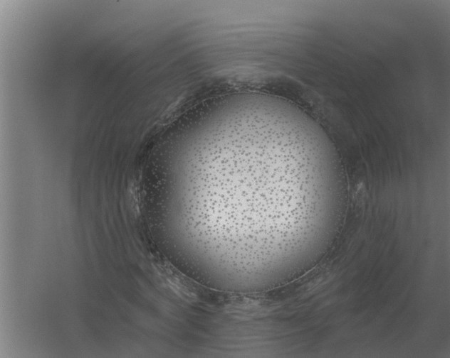 X0000059820772200511041719