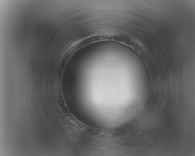 X0000059820773200511041719