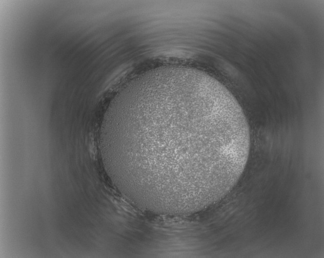 X0000059820774200511041719