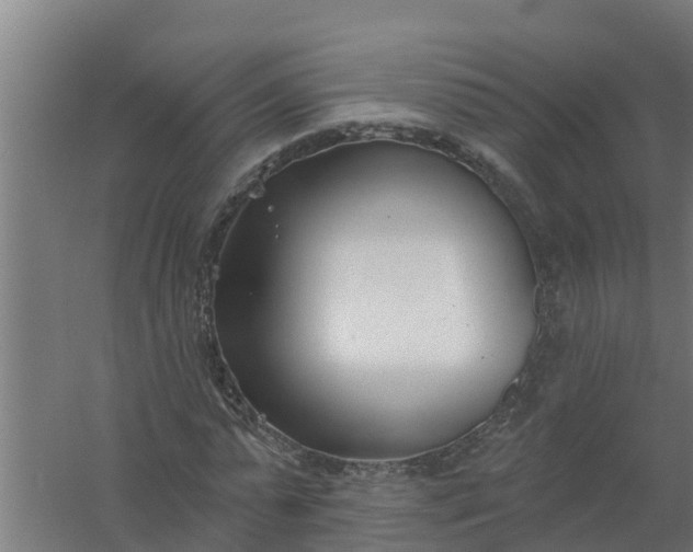 X0000059820775200511041719