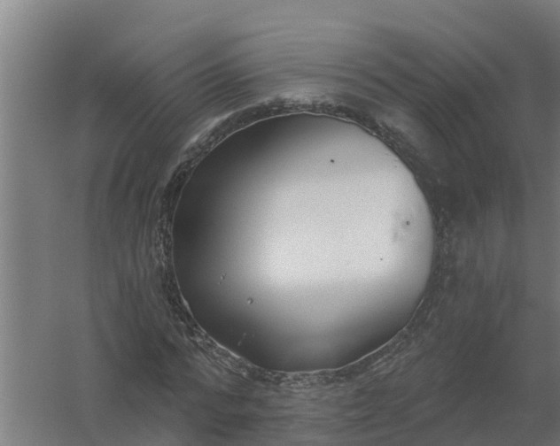 X0000059820776200511041718