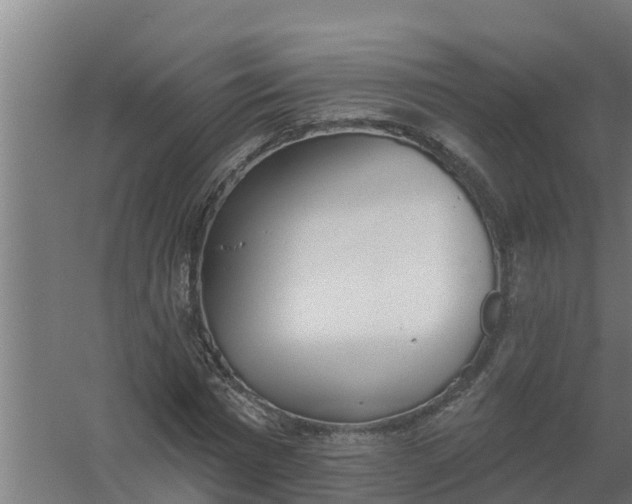 X0000059820777200511041718