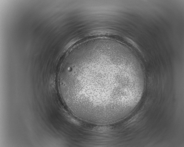 X0000059820778200511041718