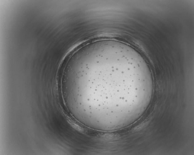 X0000059820779200511041718