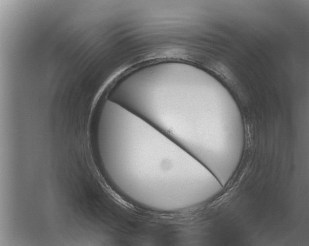 X0000059820780200511041718