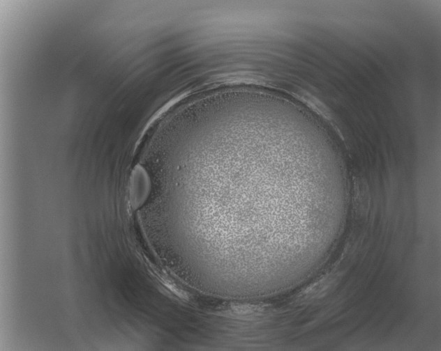 X0000059820782200511041718