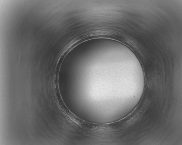 X0000059820786200511041718