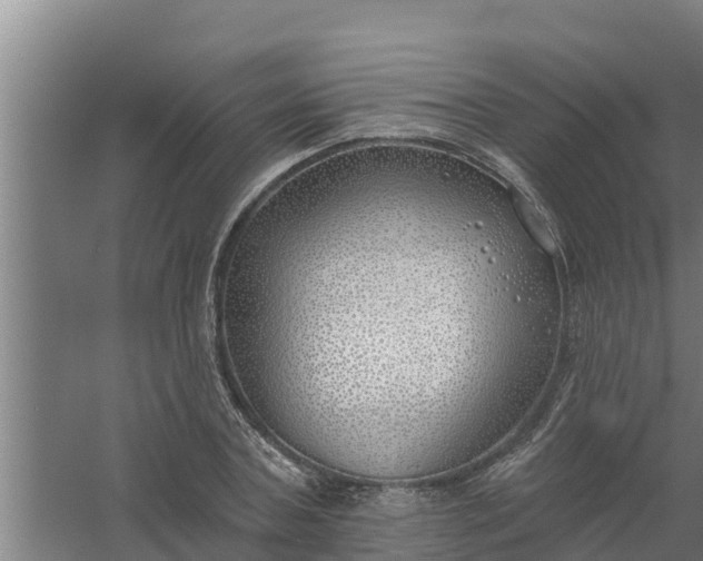 X0000059820787200511041718