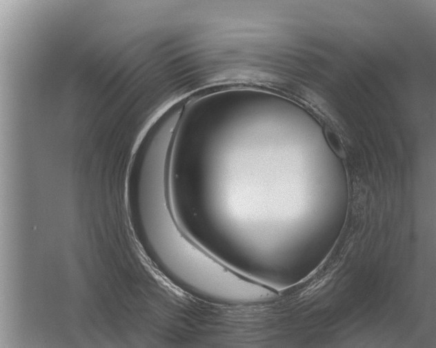 X0000059820788200511041718