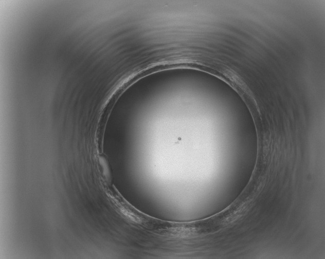 X0000059820789200511041718