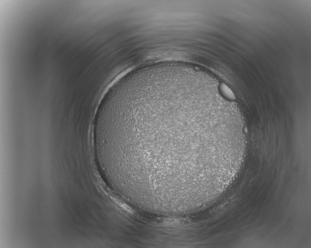 X0000059820790200511041718