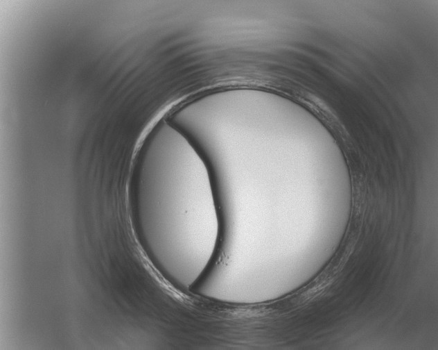 X0000059820796200511041718