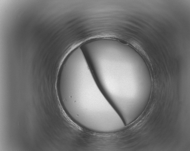 X0000059820797200511041718