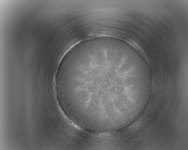 X0000059820798200511041718