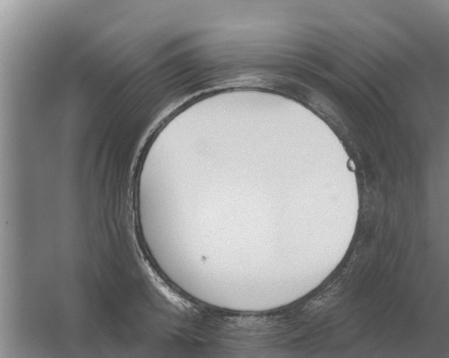 X0000059820800200511041718