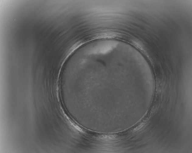 X0000059820802200511041718