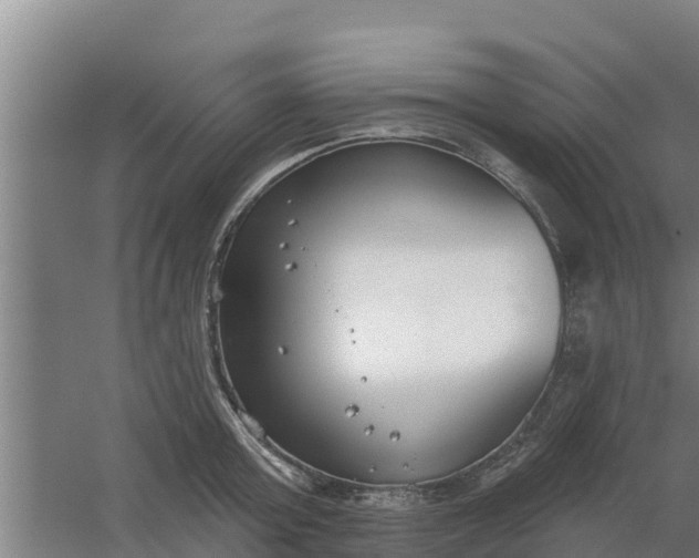 X0000059820803200511041718