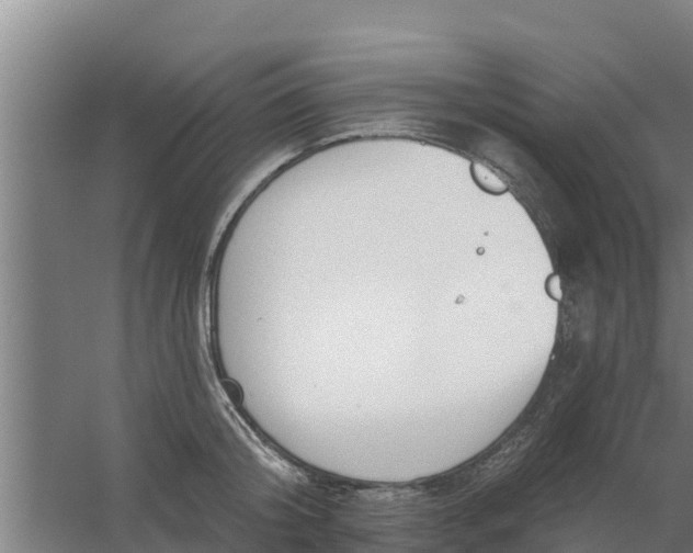 X0000059820804200511041718