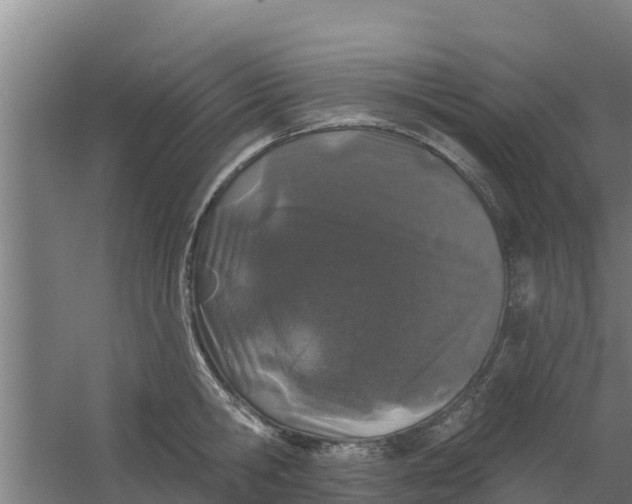 X0000059820806200511041718