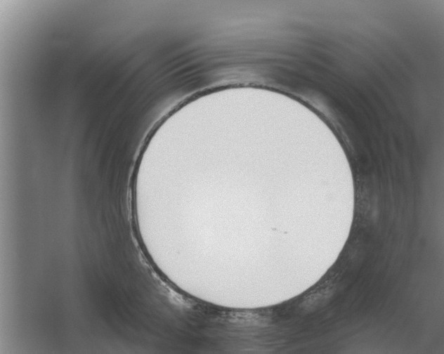 X0000059820807200511041718