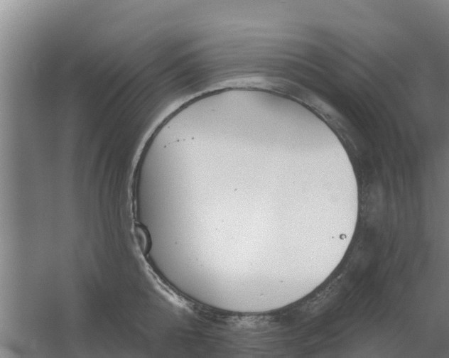 X0000059820808200511041718