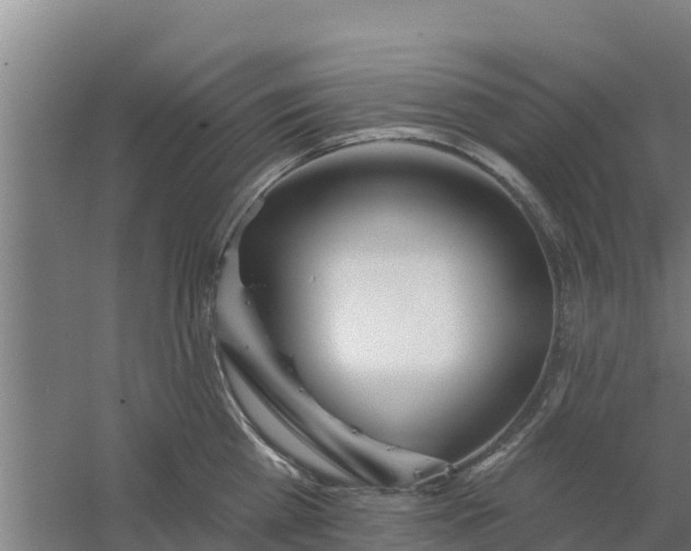 X0000059820809200511041718