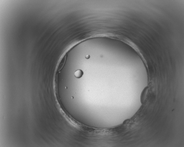 X0000059820811200511041718