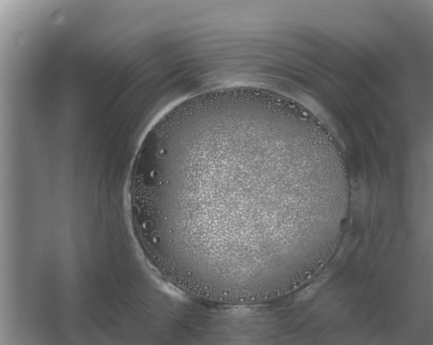 X0000059820814200511041718