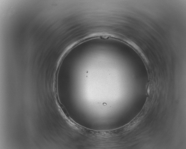 X0000059820815200511041718