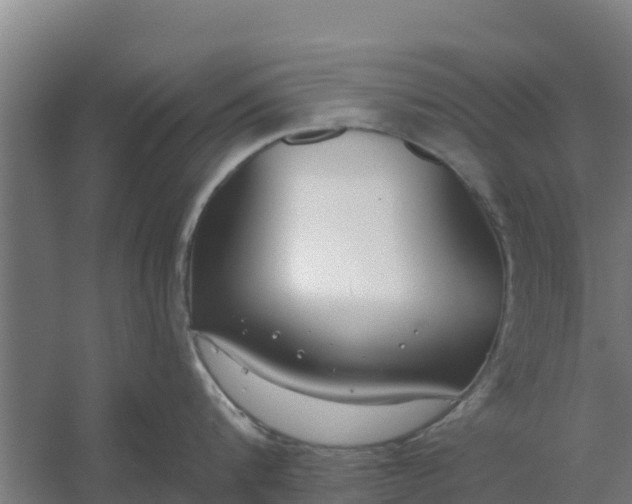 X0000059820816200511041718