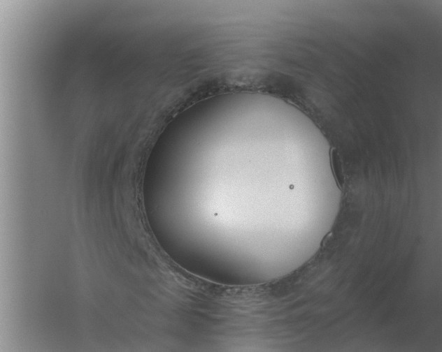 X0000059820817200511041717