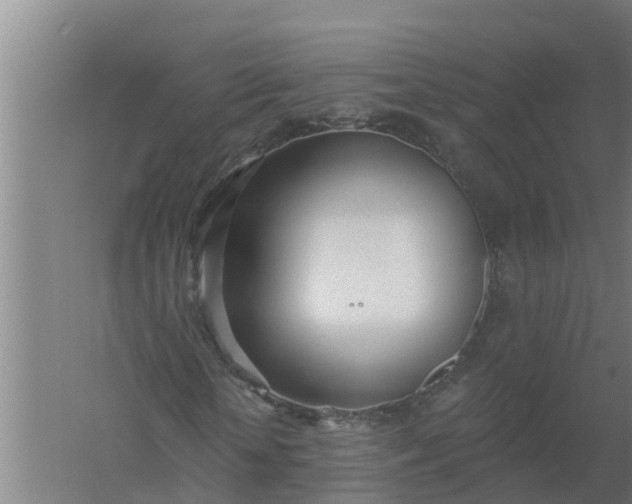 X0000059820818200511041717