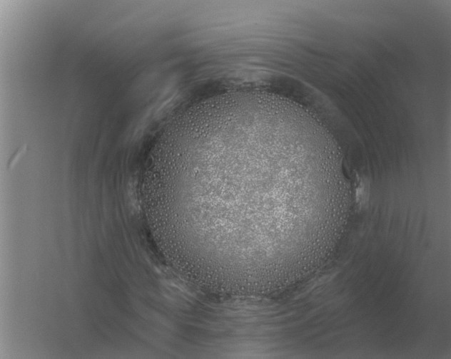 X0000059820819200511041717