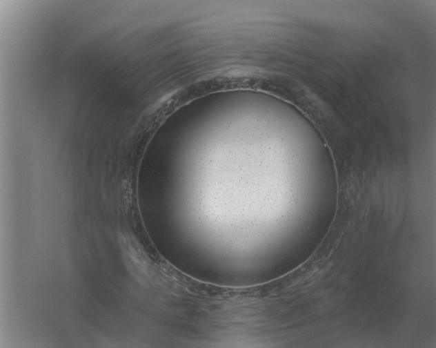 X0000059820821200511041717