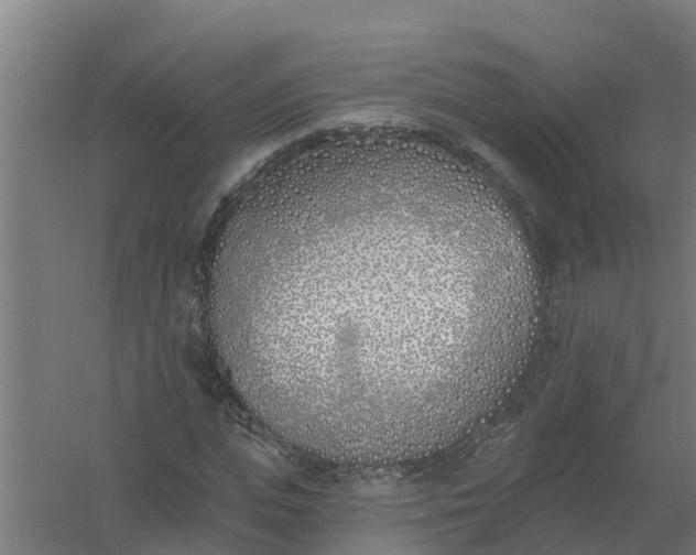 X0000059820823200511041717