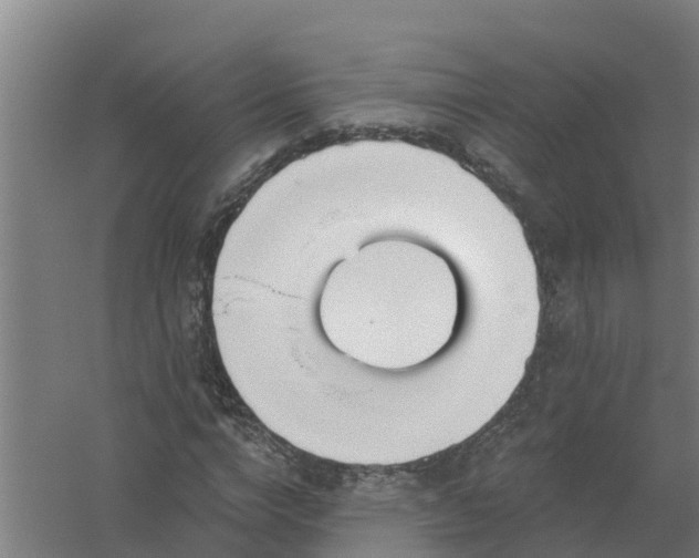 X0000059820824200511041717