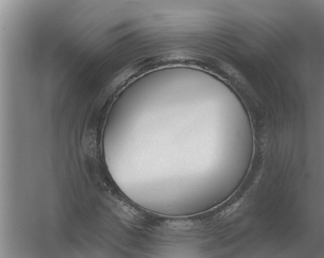 X0000059820825200511041717