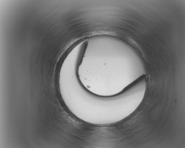 X0000059820828200511041717