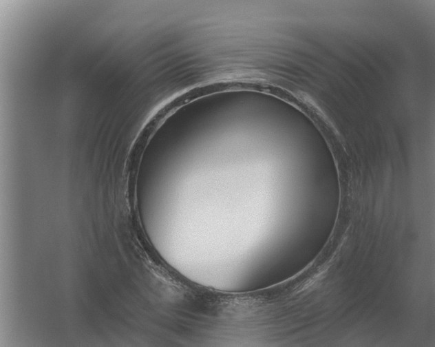 X0000059820830200511041717