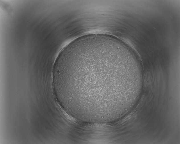 X0000059820831200511041717