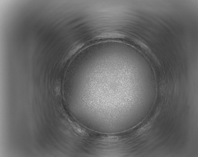 X0000059820833200511041717