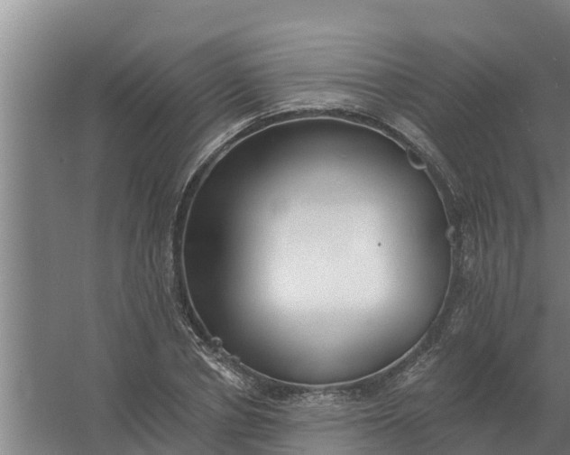 X0000059820834200511041717