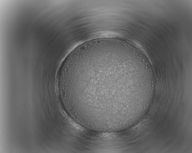 X0000059820835200511041717