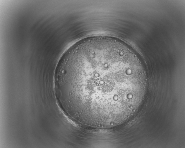 X0000059820839200511041717